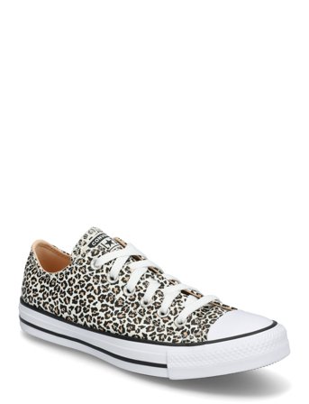 Converse | Ctas Ox Black/Coastal Dune/Egret | 36