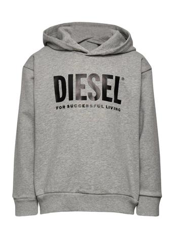 Sdivision-Logo Over Sweat-Shirt Hettegenser Genser Grå Diesel