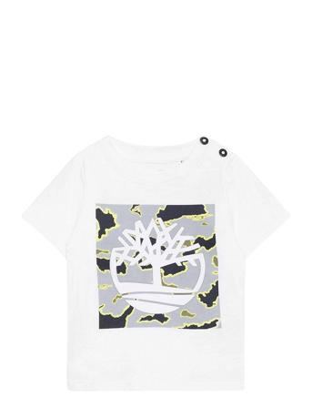 Short Sleeves Tee-Shirt White Timberland