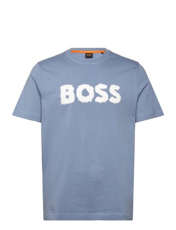 BOSS | Te_Frozen | L