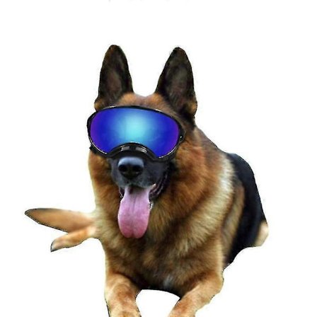 Hunde Solbriller Hunde Beskyttelsesbriller, UV Beskyttelse Vindbeskyttelse Støvbeskyttelse Dugbeskyttelse Kæledyrsbriller Øjenbeskyttelse Med 