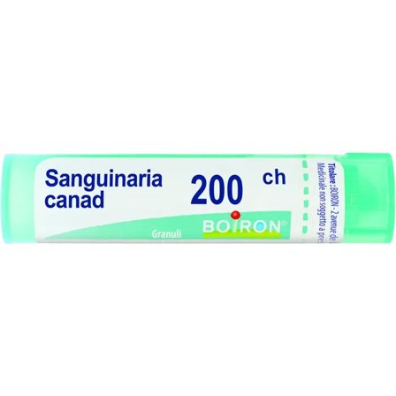 Boiron Sanguinaria Canad Granuli 200Ch Tubo 4g
