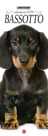 Bassotto. Calendario 2026. Long
