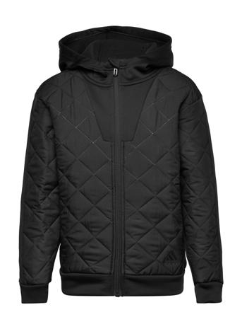 Future Quilted Winter Full-Zip Top Outerwear Jackets & Coats Quilted Jackets Musta Adidas Performance