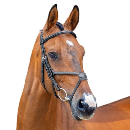 Velociti Läder Häst Grackle Bridle X Full Black