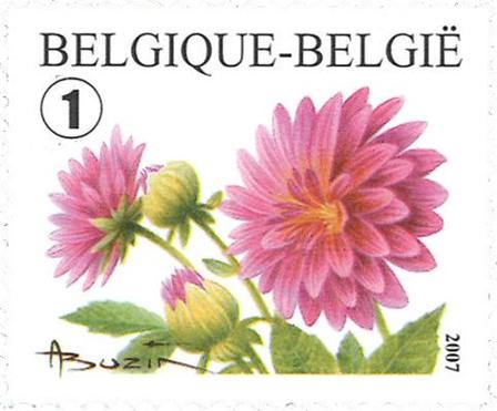 Belgien - Dahlia blomst - Postfrisk frimærke