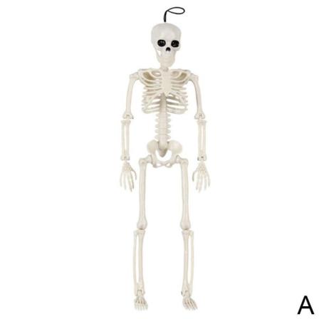 1x Stor Poseable Full Life Size Human Skelett Prop Halloween