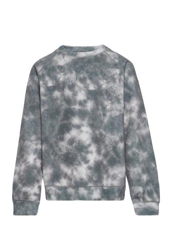 Sweatshirt Sweat-shirt Tröja Grå Petit By Sofie Schnoor