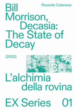 Bill Morrison, Decasia: The state of decay (2002). L'alchimia della rovina Rossella Catanese