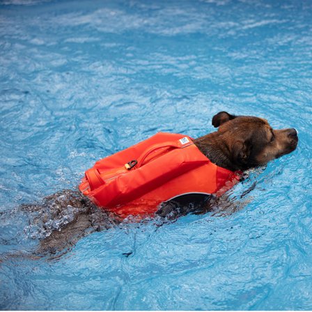 DOG REVOLUTION - Dog Revolution - Hunderedningsvest Orange