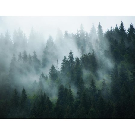 Vevd veggmaleri Skogstøv Moderne Fleece Stue