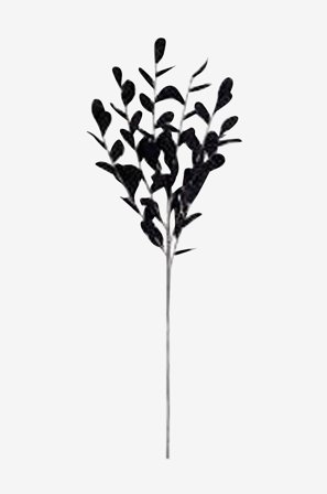 Eightmood - Dekorasjon blomst Coyet - Svart - Kunstige planter & blomster - Fra Homeroom