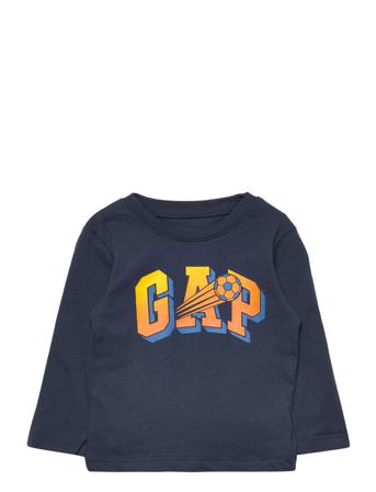 V-Bf Fa Ls Int Logo Gr Navy GAP