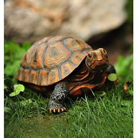 Zen Sköldpaddor, Trädgårdsdekorationer Som Förtrollar Dina Uteplatser Med Livslikt Utseende