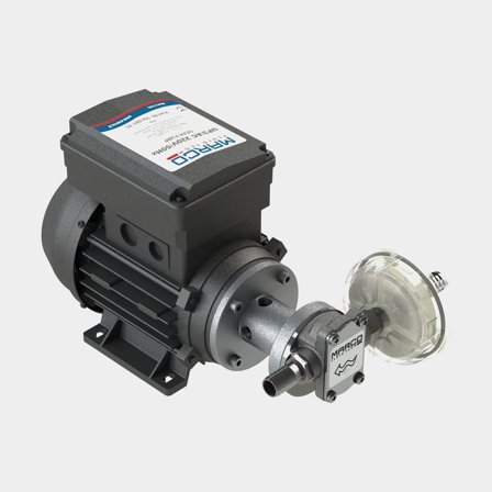 UP3/AC 220V olja/diesel 10 l/m