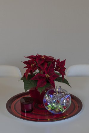 Konstsmide 1407-503 Lysslynge 10 lys Farget, Belysning