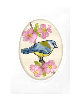 Broderipakke Kort Fugl - Orchidea