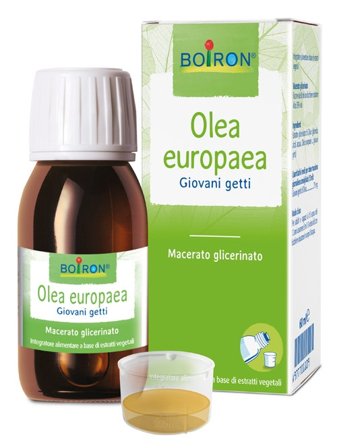 Olea Europaea Macerato Glicerico 60ml