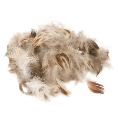 MALLARD DUCK HEN BREAST NATURAL