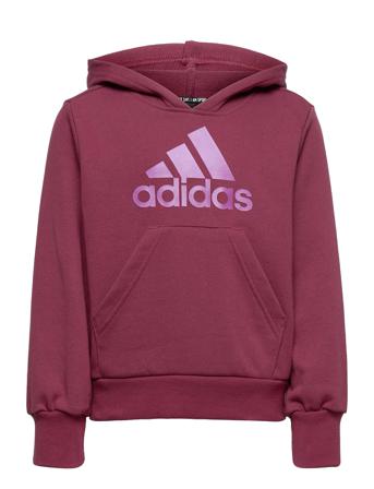 Future Icons Logo Hoodie W Purple Adidas Performance