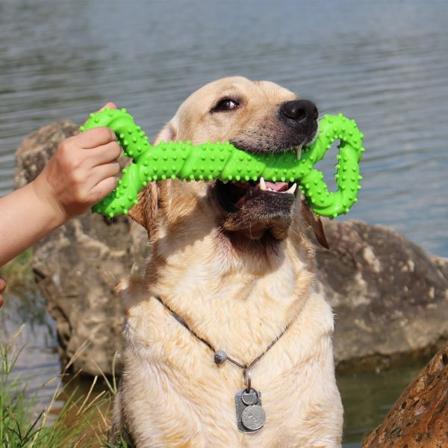 Hundtuggleksaker Resistant gummi 13 tums benhundleksaksvalpar med konvex design Solid interaktiv hundleksak för aggressiva tuggare små och stora 