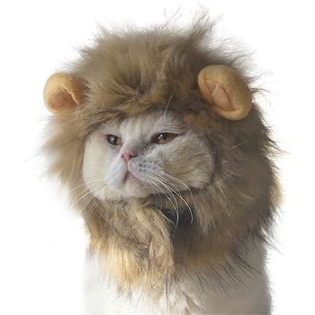 Pet Halloween Kostyme Katt Løvehatt Hodeplagg Liten Hund Løvehatt Li