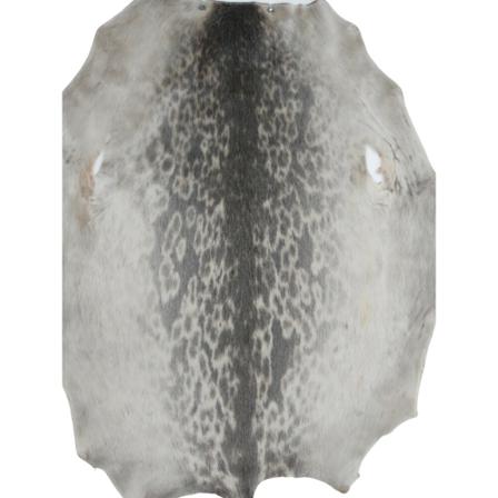 Levinsky Ringed Seal Dressed Fur Skin Grå, Dame, Størrelse: ONE Size