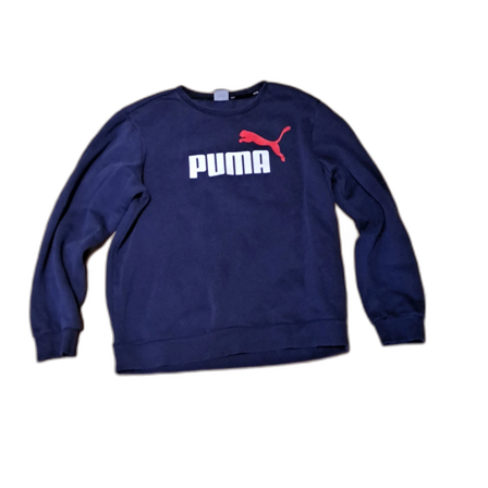 Hoodi puma