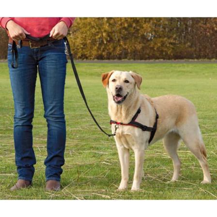 Trixie Sele Lead'n'walk Soft Strl L-xl 65-105 Cm Svart 13057 Svart