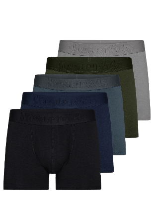 Resteröds Boxer Bamboo 5-pack Regular leg Kalsonger Herr Flerfärgad M