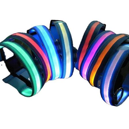 IC Fiber Plate LED-halsband (röd, batteri typ M)