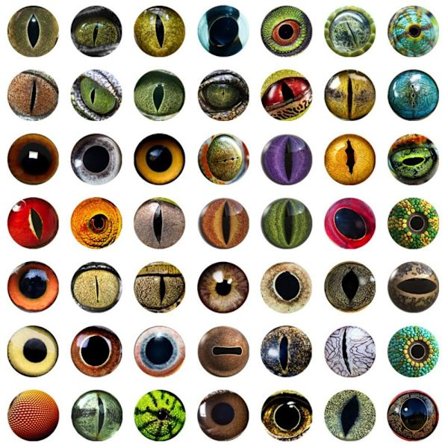 20 st/10 par Eyes Crafts Eyes Puppet Crystal Eyes 12MMCOLOR