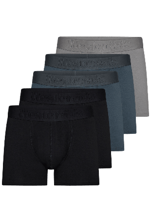 Resteröds Boxer Bamboo 5-pack Regular leg Kalsonger Herr Flerfärgad XL