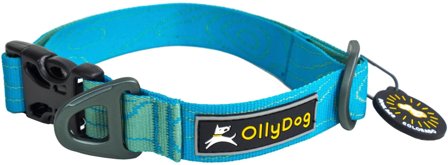 OllyDog Flagstaff Collar Sky Bark