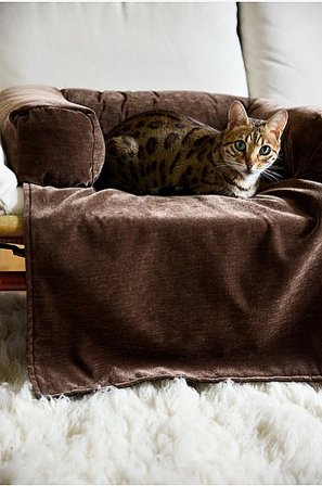 Jotex - Hundebett/katzenbett graubraun - MEDFORD - Kaufe Hunde-/Katzenbett bei Jotex