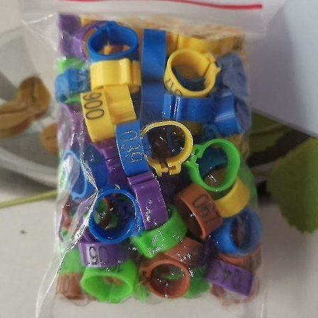 Cken fot ring, justerbar størrelse, fjærfe ben nummer tag Le100pcs-10 S