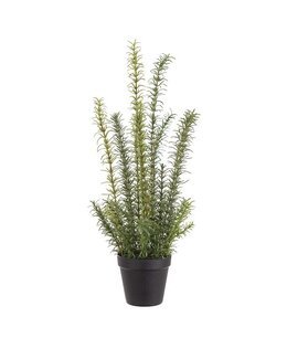 Kunstplante Rosmarin Grønn - Mr Plant