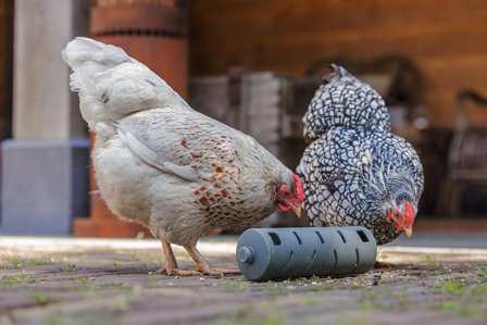 Snack Roller til Høns, Grå - 22cm