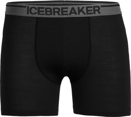 Icebreaker Men's Anatomica Boxers Men undergarment Black L