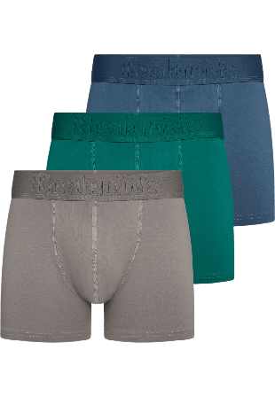Resteröds Boxer Bamboo 3-pack - Regular Leg Kalsonger Herr Flerfärgad M