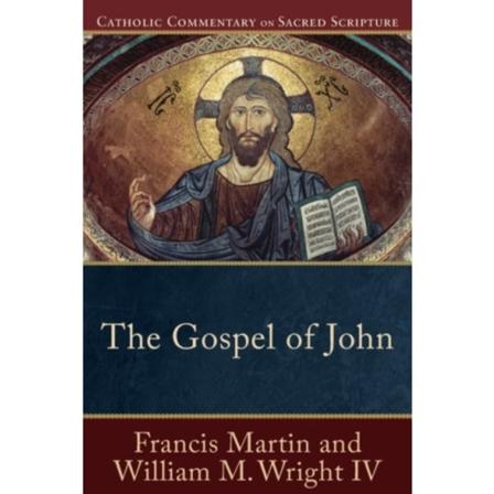 The Gospel of John (häftad, eng)
