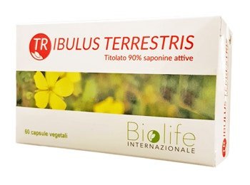 TRIBULUS TERRESTRIS 60CPS