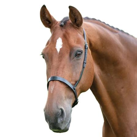 Blenheim Leather Horse Cavesson Nosgrim Full Black