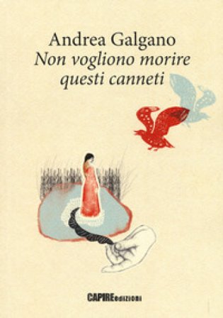 Non vogliono morire questi canneti Andrea Galgano