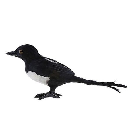 Realistisk Skade Fugl Udendørs Have Dam Ornament Skulptur Dekoration