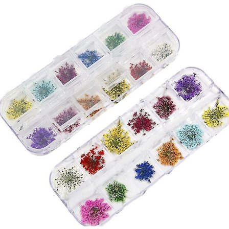 Kuivien kukkien kynsi lumihelmet kukka laatikko kynsikoriste taide