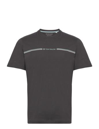 Printed Crewneck T-Shirt T-shirts Short-sleeved Grå Tom Tailor*Betinget Tilbud