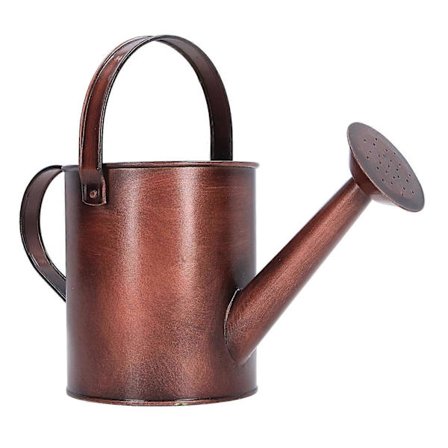 Jern Vandkande 1.5L Mini 30x12cm/11.8x4.7in Rustfri til Hjem Udendørs Indendørs Planter Blomster IJO