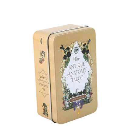 Antik anatomi Oracle Tarot Card Spådomskort