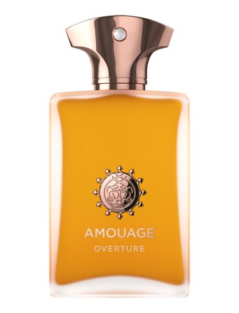Amouage Amouage Overture Man Edp 100Ml - Nude - 100 ml